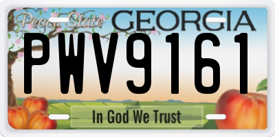 GA license plate PWV9161