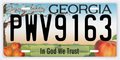 GA license plate PWV9163