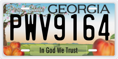 GA license plate PWV9164
