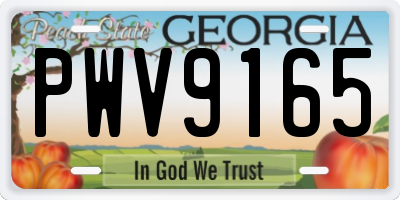 GA license plate PWV9165