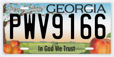 GA license plate PWV9166