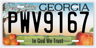 GA license plate PWV9167