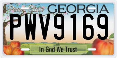 GA license plate PWV9169