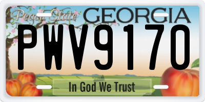 GA license plate PWV9170