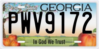 GA license plate PWV9172
