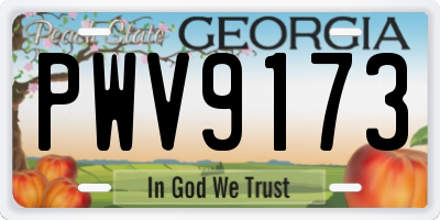 GA license plate PWV9173