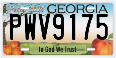 GA license plate PWV9175