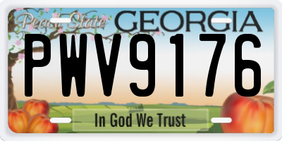 GA license plate PWV9176