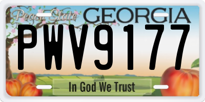 GA license plate PWV9177