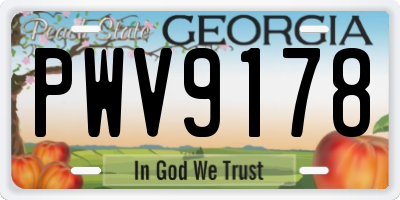 GA license plate PWV9178