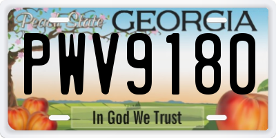 GA license plate PWV9180