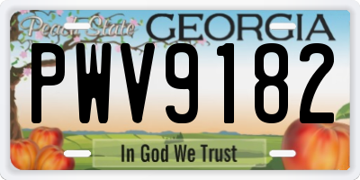 GA license plate PWV9182