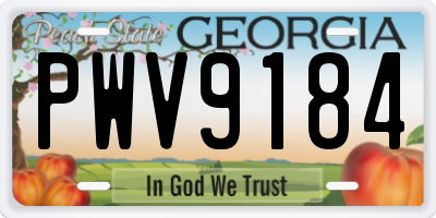 GA license plate PWV9184