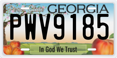 GA license plate PWV9185