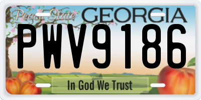 GA license plate PWV9186