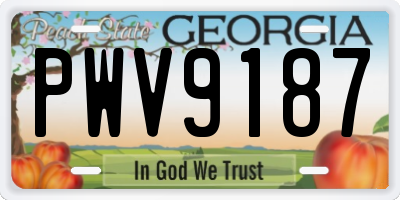 GA license plate PWV9187