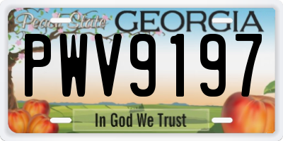 GA license plate PWV9197