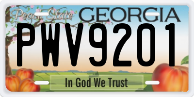 GA license plate PWV9201