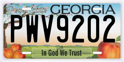 GA license plate PWV9202