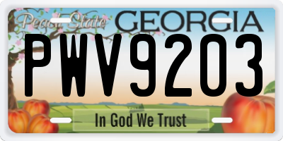 GA license plate PWV9203