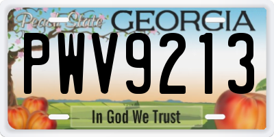 GA license plate PWV9213