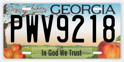 GA license plate PWV9218