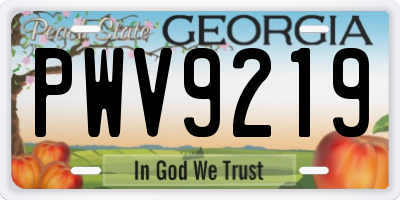 GA license plate PWV9219