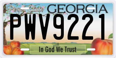 GA license plate PWV9221