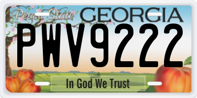 GA license plate PWV9222