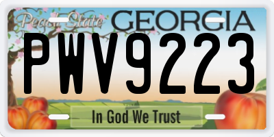 GA license plate PWV9223