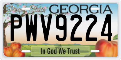 GA license plate PWV9224