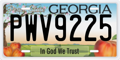 GA license plate PWV9225