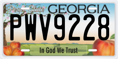 GA license plate PWV9228