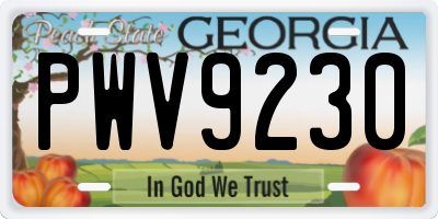 GA license plate PWV9230
