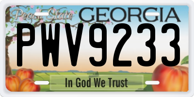 GA license plate PWV9233