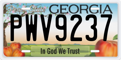GA license plate PWV9237