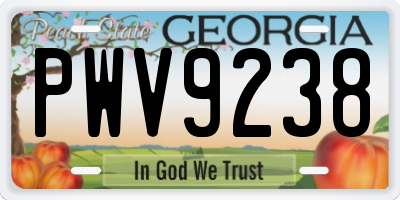 GA license plate PWV9238