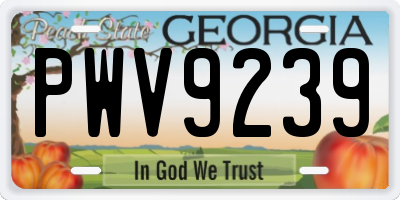 GA license plate PWV9239