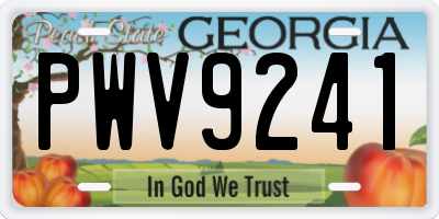 GA license plate PWV9241