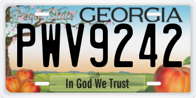 GA license plate PWV9242