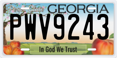 GA license plate PWV9243