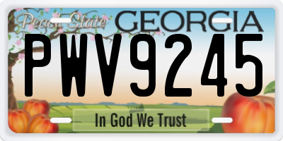GA license plate PWV9245