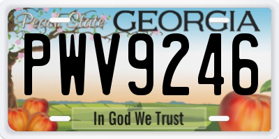 GA license plate PWV9246