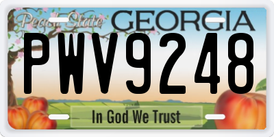 GA license plate PWV9248
