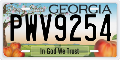 GA license plate PWV9254