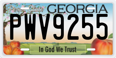 GA license plate PWV9255