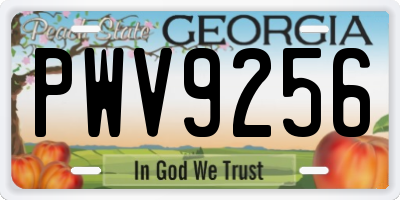 GA license plate PWV9256