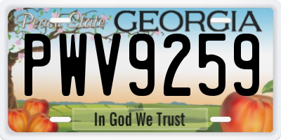 GA license plate PWV9259