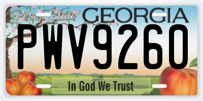 GA license plate PWV9260