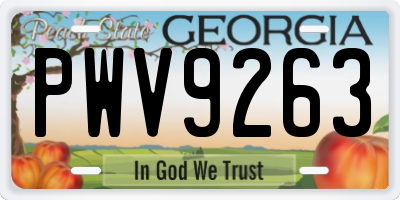 GA license plate PWV9263